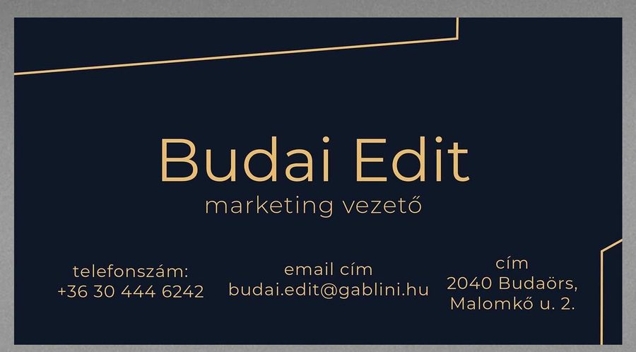 Gablini Mobility business card